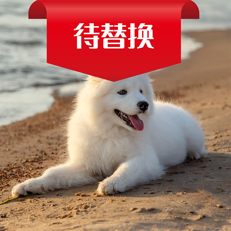 遗体清洁处理