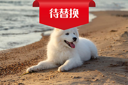 公司介绍